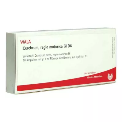 Cerebrum Regio Motor Gl D6 ampule (10x1 ml) Cerebrum Regio Motor Gl D6 ampule (10x1 ml)
