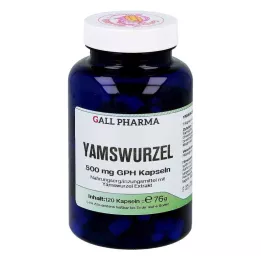 YAMSWURZEL 500 mg GPH kapsule, 120 kom
