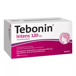 TEBONIN intens 120 mg filmom obložene tablete, 200 kom