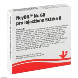 NEYDIL No.66 per injectione St.2 ampule, 5X2 ml