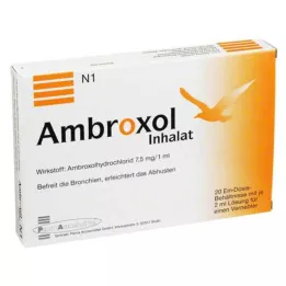 AMBROXOL Inhalacijska otopina za nebulizator, 20X2 ml