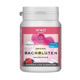 ENERGIE KAUGUMMI Dr. Bachu, 40 sati