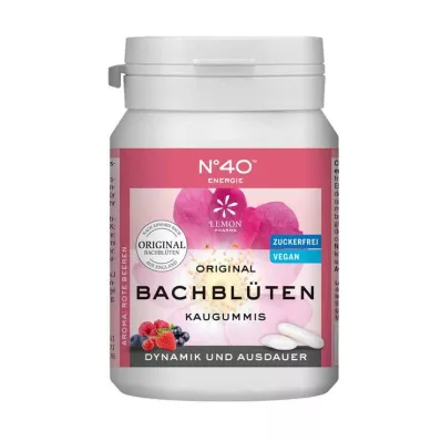 ENERGIE KAUGUMMI Dr. Bachu, 40 sati ENERGIE KAUGUMMI Dr. Bachu, 40 sati