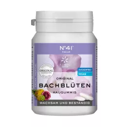 KONZENTRATION Žvakaće gume po dr. Bachu, 40 kom