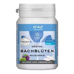 SELBSTVERTRAUEN Žvakaće gume po dr. Bachu, 40 kom