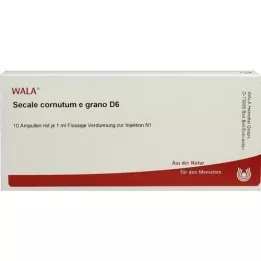 SECALE CORNUTUM E grano D 6 ampula, 10X1 ml