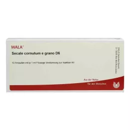 SECALE CORNUTUM E grano D 6 ampula, 10X1 ml