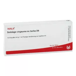 SOLIDAGO VIRGAUREA ex herba D 6 ampula, 10X1 ml
