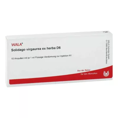 Solidago Virgaurea ex herba D6 ampule (10x1 ml)