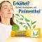 PINIMENTHOL Mast protiv prehlade Eucal./Pine./Menth., 100 g