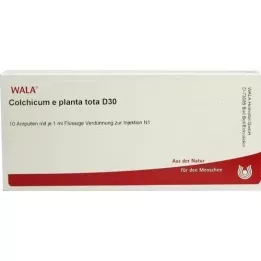 COLCHICUM E planta tota D 30 ampula, 10X1 ml