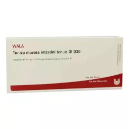 TUNICA mucosa intestini tenuis GL D 30 ampula, 10X1 ml