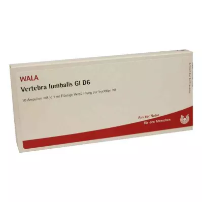 VERTEBRA lumbalis GL D 6 ampula, 10X1 ml