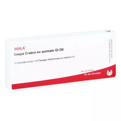 Vespa Crabro Ex Animale Gl D6 ampule (10x1 ml)