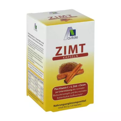 ZIMT KAPSELN 500 mg + vitamin C + E, 120 kom ZIMT KAPSELN 500 mg + vitamin C + E, 120 kom