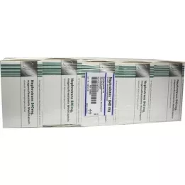 NEPHROTRANS 840 mg gastrorezistentne kapsule, 500 kom