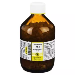 BIOCHEMIE 5 Kalium phosphoricum D 12 tableta, 1000 kom