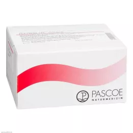 PECTAPAS CPL Injectopas ampule, 100 kom