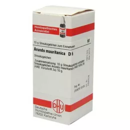 ARUNDO mauritanica D 6 kuglica, 10 g