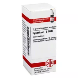 HYPERICUM C 1000 globula, 10 g