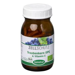 OPC TRAUBENKERN & Vitamin C kapsule, 90 kom