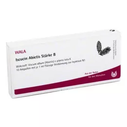 ISCUCIN abietis jačina B ampule, 10x1 ml