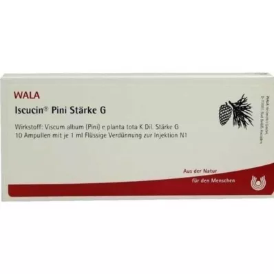ISCUCIN pini jačina G ampule, 10x1 ml ISCUCIN pini jačina G ampule, 10x1 ml