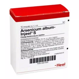 ARSENICUM ALBUM INJEEL S ampule, 10 kom