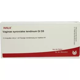 VAGINAE sinovijalna tetiva GL D 5 ampula, 10X1 ml