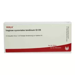 VAGINAE sinovijalna tetiva GL D 5 ampula, 10X1 ml