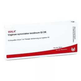 VAGINAE sinovijalna tetiva GL D 8 ampula, 10X1 ml