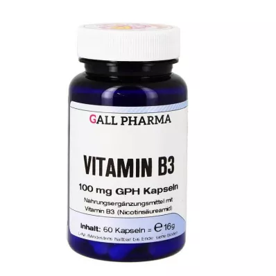 VITAMIN B3 100 mg GPH kapsule, 60 kom