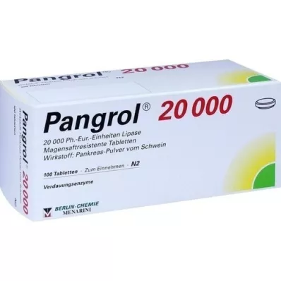 PANGROL 20 000 gastrorezistentnih tableta, 100 kom
