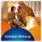 VOLTAREN Dolo Liquid 25 mg kapsule meke, 20 kom