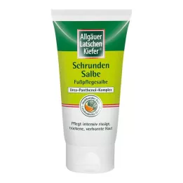 ALLGÄUER LATSCHENK. Mast protiv pukotina LK-Naranča, 75 ml