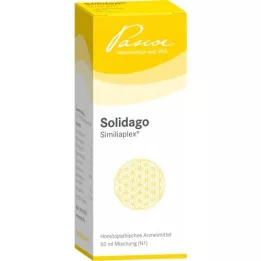 SOLIDAGO SIMILIAPLEX Kapi, 50 ml