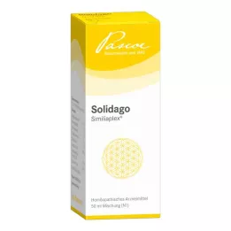 SOLIDAGO SIMILIAPLEX Kapi, 50 ml
