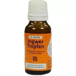 INGWERTROPFEN Dr. Muches, 20 ml