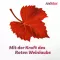 ANTISTAX Dodatni venenkablets, 90 ST