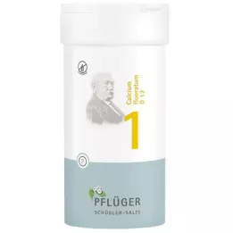 BIOCHEMIE Pflueger 1 Calcium fluoratum D 12 tableta, 400 kom