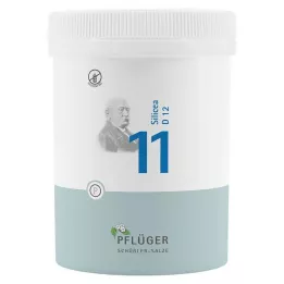 BIOCHEMIE Pflueger 11 Silicea D 12 tableta, 1000 kom