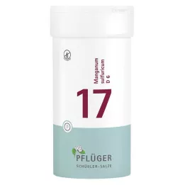 BIOCHEMIE Pflueger 17 Manganum sulfuricum D 6 tableta, 400 kom