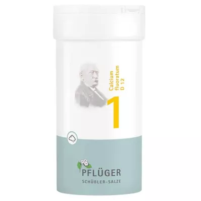 BIOCHEMIE Pflueger 1 Calcium fluoratum D 12 prah, 100 g BIOCHEMIE Pflueger 1 Calcium fluoratum D 12 prah, 100 g