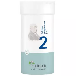 BIOCHEMIE Pflueger 2 Calcium phosphoricum D 6 prah, 100 g