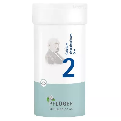 BIOCHEMIE Pflueger 2 Calcium phosphoricum D 6 prah, 100 g BIOCHEMIE Pflueger 2 Calcium phosphoricum D 6 prah, 100 g