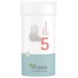 BIOCHEMIE Pflueger 5 Kalium phosphoricum D 6 prah, 100 g