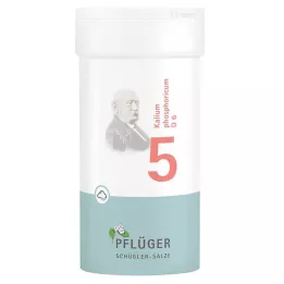 BIOCHEMIE Pflueger 5 Kalium phosphoricum D 6 prah, 100 g