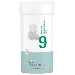 BIOCHEMIE Pflueger 9 Natrum phosphoricum D 6 prah, 100 g