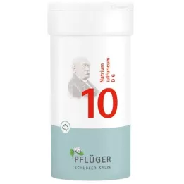 BIOCHEMIE pflüger 10 natrijev sumporicum d 6 prah, 100 g