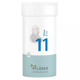 BIOCHEMIE Pflueger 11 Silicea D 12 prah, 100 g
